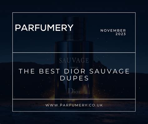 dupe for sauvage dior|dior sauvage cheap alternative.